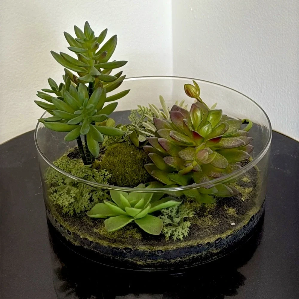 Target Threshold. Succulents in terrarium Glass bowl arrangement.